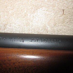 .257 Roberts 003.JPG