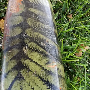 camo_2.jpg