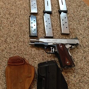 kimber2.jpg