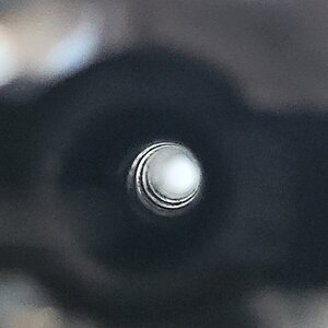 20231006_143038.jpg