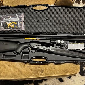 Maxus case.jpg