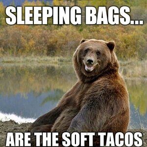 Bear Taco.jpg