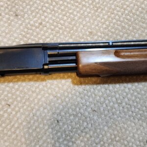 BPS-03.jpg