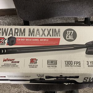 Gamo-2.jpg