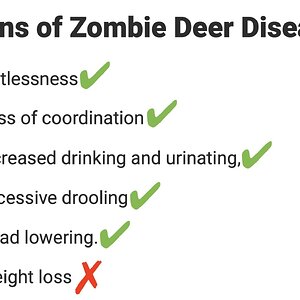 ui_zombiedeer.jpg