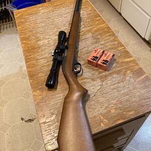 IMG_3702.jpeg