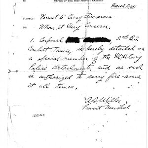 Permit to Carry 1924.jpg