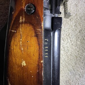 IMG_1434.jpeg