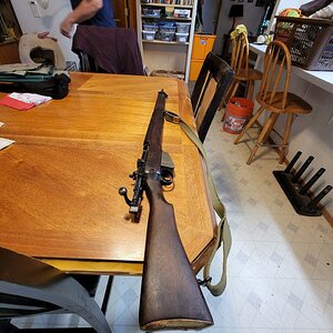 20231116_151035.jpg