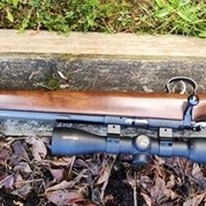 CZ 453.jpg