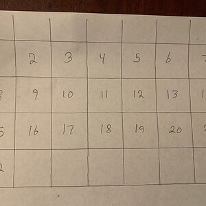 IMG_4555 (1).jpg