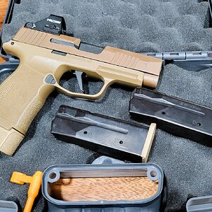 SIG4.jpg