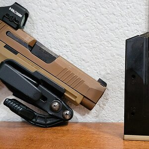 SIG8.jpg