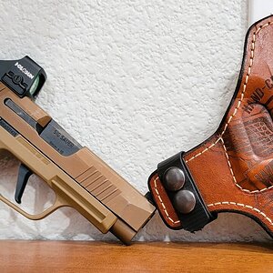 SIG7.jpg