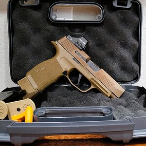 SIG3.jpg