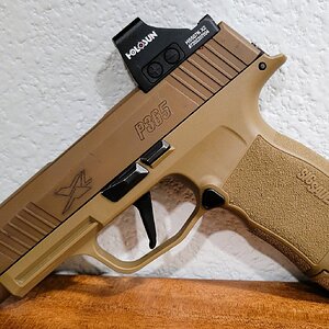 SIG2.jpg