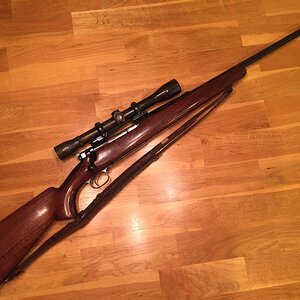 Winchester70.01.JPG