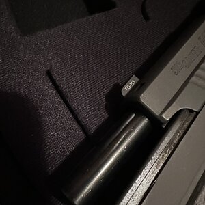 IMG_8024.jpeg