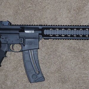 M&P 15-22 (7).JPG