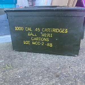 IMG_6786.jpeg