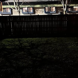 IMG_3715.jpeg