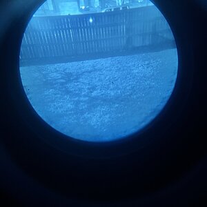 IMG_3714.jpeg