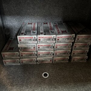 IMG_1901.jpeg
