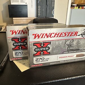 IMG_1902.jpeg