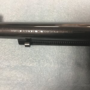 Ruger V 5.JPG