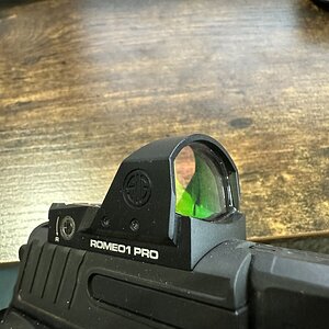 IMG_4491.jpeg