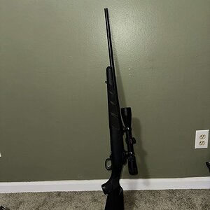 IMG_1559.jpeg