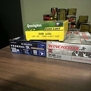 IMG_1556.jpeg