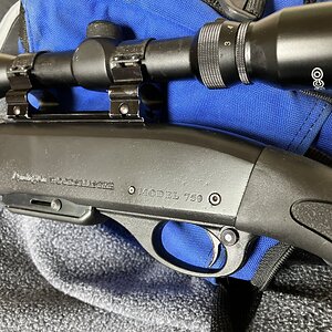 IMG_1446.JPG