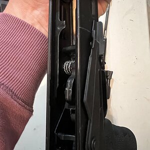 IMG_8229.jpeg