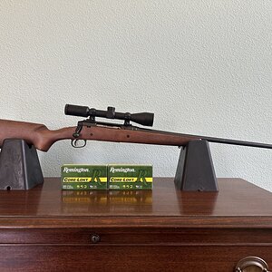 IMG_9798.jpeg