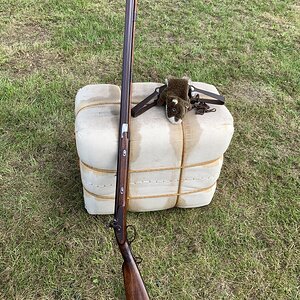Hawken Rifle , Fur Bale , Trap and "Beaver".
