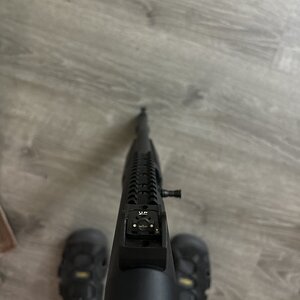 IMG_2279.jpeg