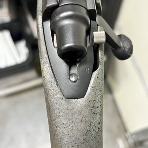 IMG_1114.jpeg