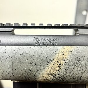 IMG_1112.jpeg