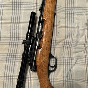 IMG_7634.JPEG