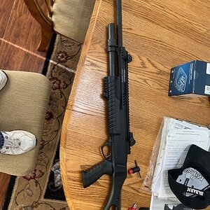 shotgun1.jpg