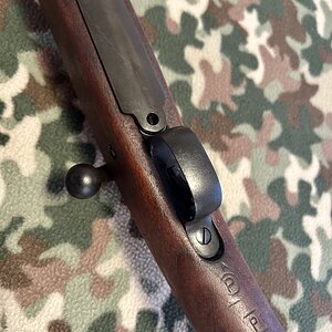 IMG_4483.jpeg