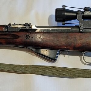 sks1.jpg