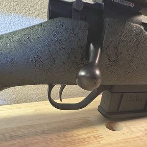 IMG_7937.jpeg