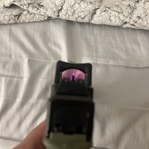 IMG_2276.jpeg