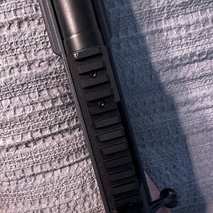 IMG_8424.jpeg