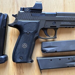 P226a.jpeg