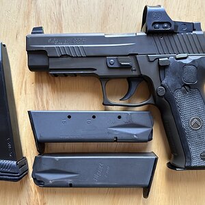 P226b.jpeg