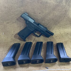 IMG_1816.jpeg