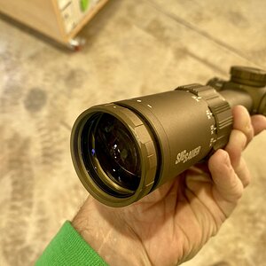IMG_2303.jpeg